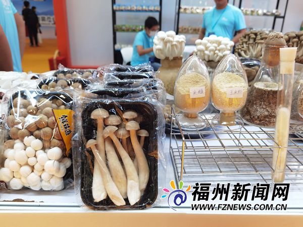 渔博会·菌博会开幕 全民互动乐享舌尖盛宴